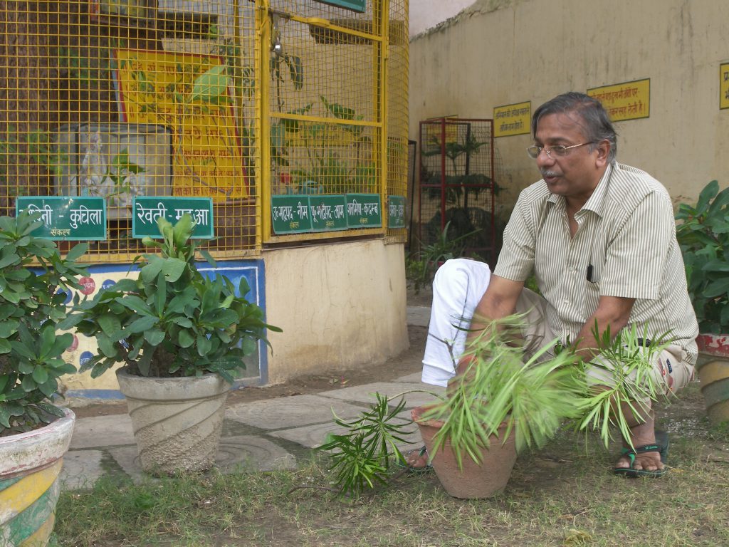 Plantation at Nakshatra Vatika by Mr. A.K Jain.