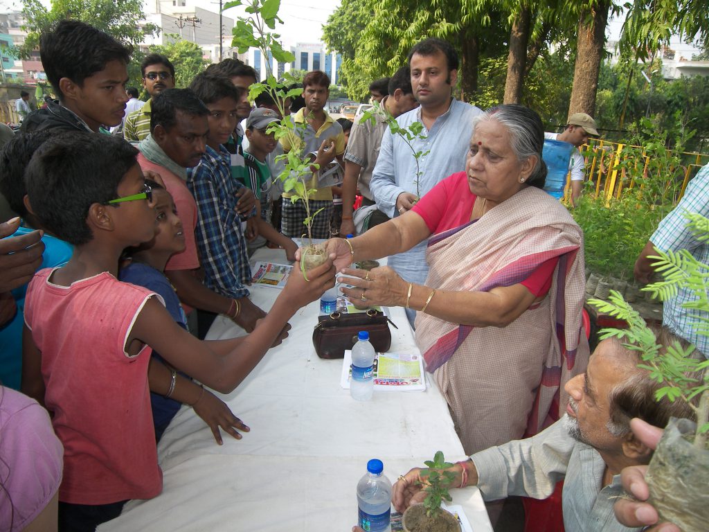 Distribution of Tulsi plant by MLA Jyotsana Srivastava