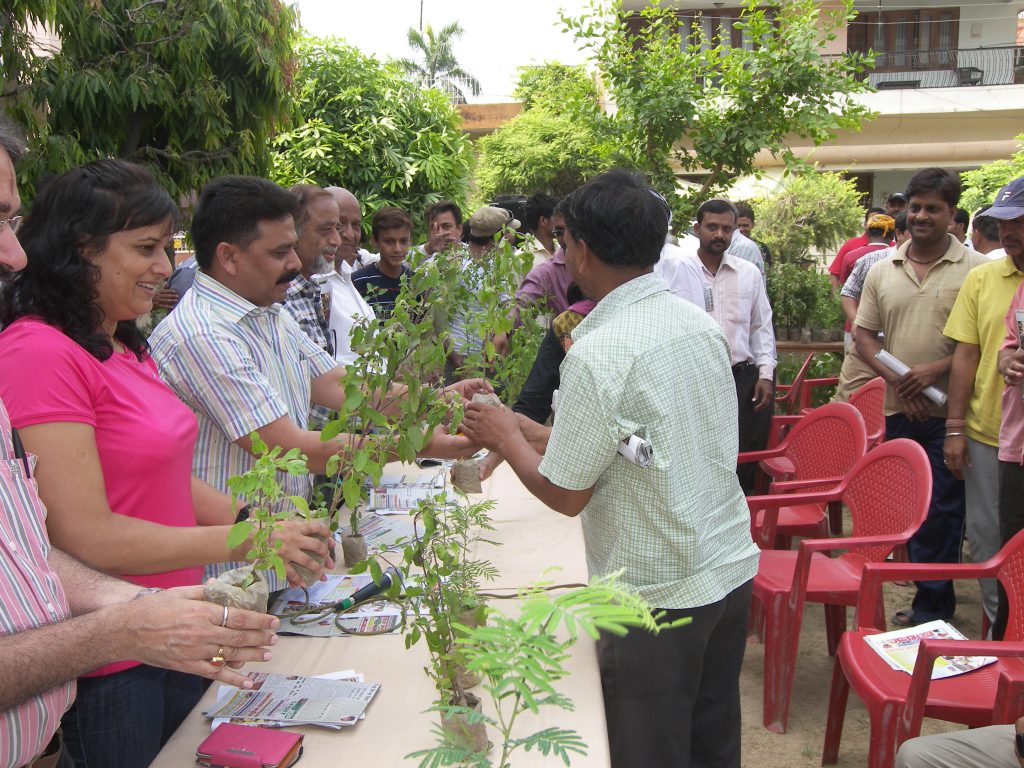 Distribution of Tulsi plant by Mrs. Neelu Mishra.