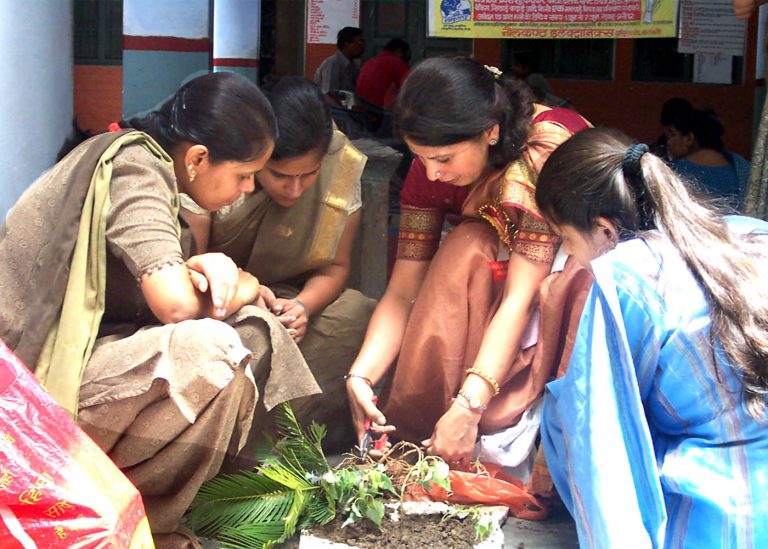 Bonsai making training .